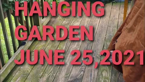 Hanging Garden June 25,2021