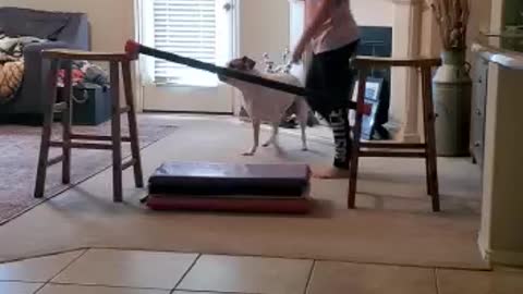 Girl training dog to jump