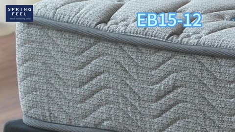EB15-10 - Revitalize mattress: 29 things in 2024