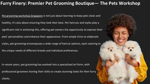 Furry Finery: Premier Pet Grooming Boutique — The Pets Workshop