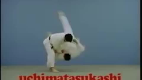 26 Judo Techniques