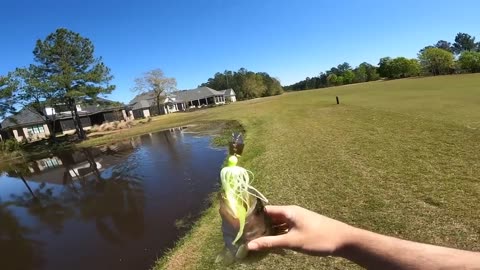 Fishing for GIANT Bass in SMALL Ponds (Bed Fishing)