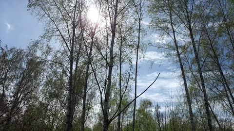 Himmel in Berlin am 6.4.2024 um 13:45 Uhr