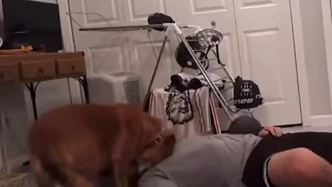 Home Workout Interrupted: Hilarious Dog Demands Cuddle Time Instead!