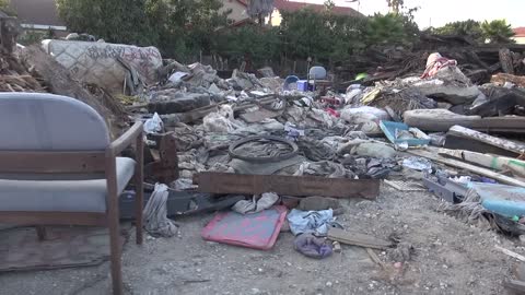 Hope For Paws: A homeless dog living in a trash pile gets rescued, and then does something amazing!