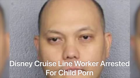 Disney Cruises Crew Worker Arrested for the Possession of Child Pornography