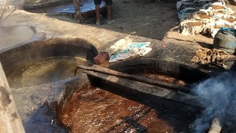 Sugarcane in local factory 🤤🤤