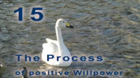 The Positive Process - Chapter 15. Your perfect body