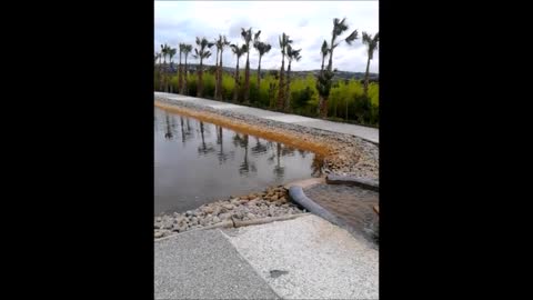 Relaxing zen fountain