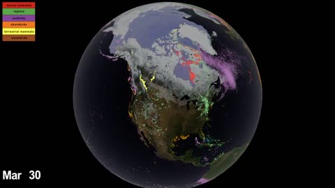 Unveiling the Threads of Earth's Interconnectivity