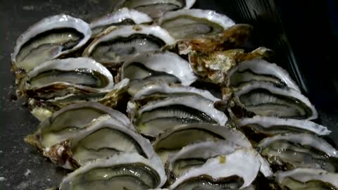 Sleuthing shellfish farmer wards off oyster thieves