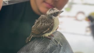 Handsome Birdy Gets A Haircut