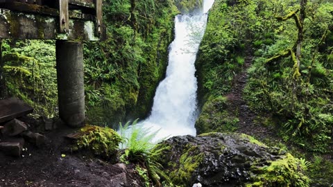 Hiking to Bridal Veil Falls & Creek! | Columbia River Gorge National Scenic Area | Oregon | 4K