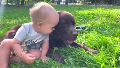 Baby Boy Shows His Love to His Retriever