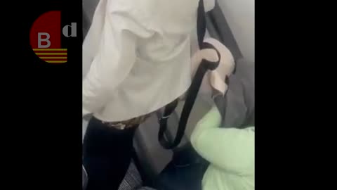 Pillada una mujer robando una cartera en la estación de Sants