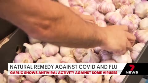 Melbourne Australia Researchers Discover Garlic Up To 99.9% Efficacy Against Viruses