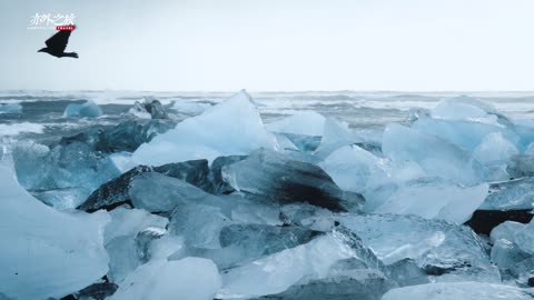 Stroll along the beautiful black sand beaches of Icelandic diamonds