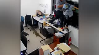 Crazy Moments Caught on CCTV Camera