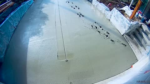 Dog Runs Along Freshly Poured Concrete - Ruins Driveway