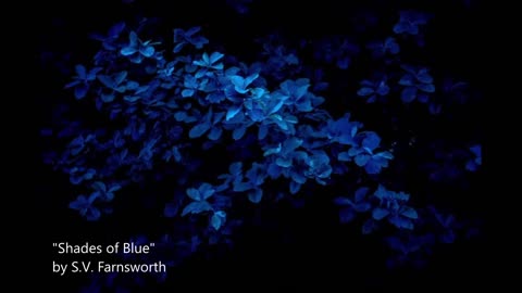 "Shades of Blue" by S.V. Farnsworth