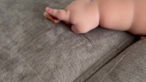 Adorable baby makes sure no crumb is left behind