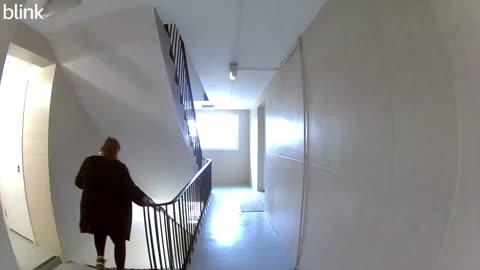 Woman Slips on Freshly Mopped Stairs