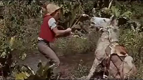 1960 The Swiss Family Robinson Movie Trailer