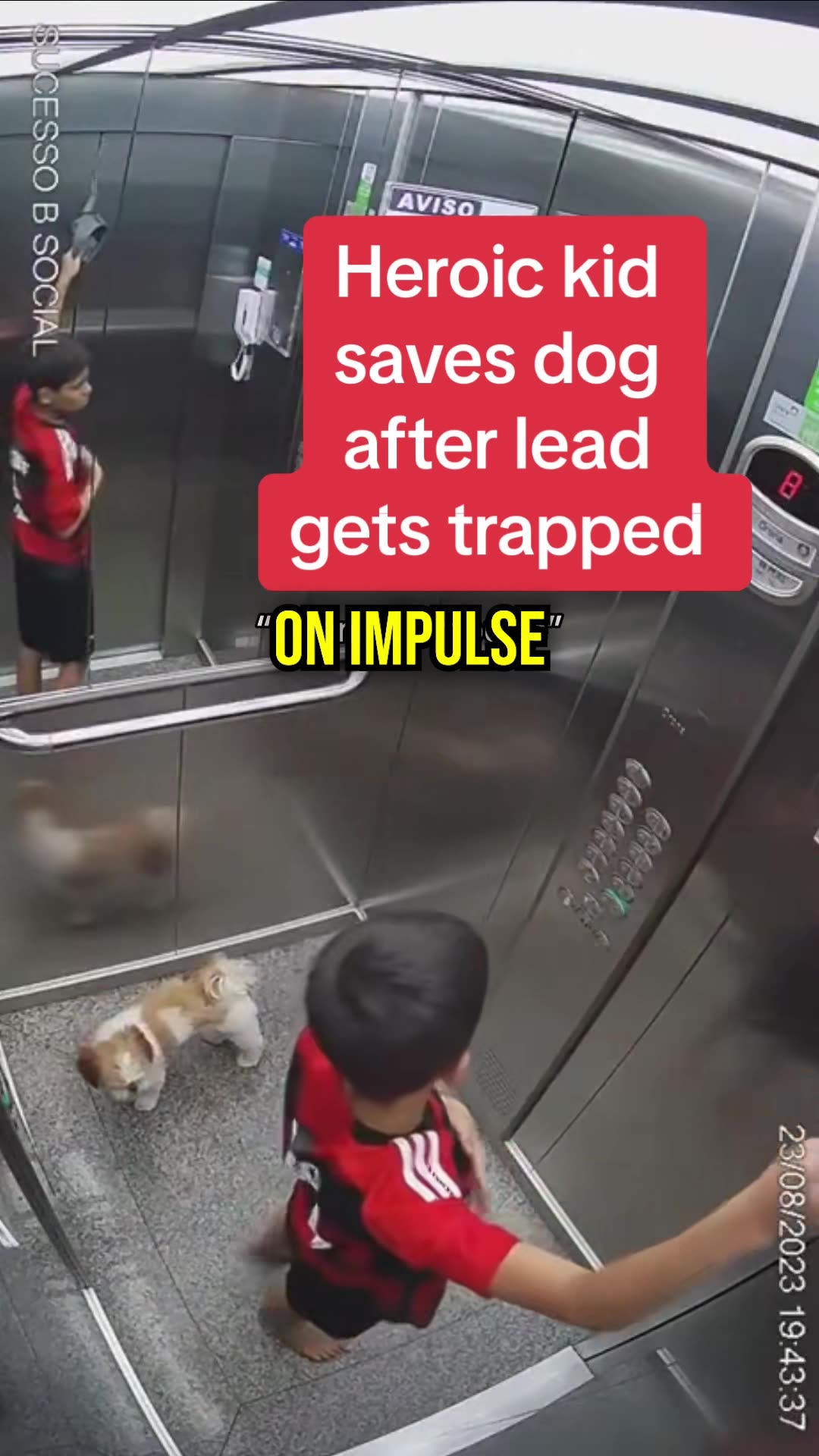 this-heroic-kid-saved-his-dog-s-life