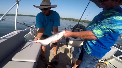 CVA Outdoors - Lake Gaston Catfish - Fishing VA