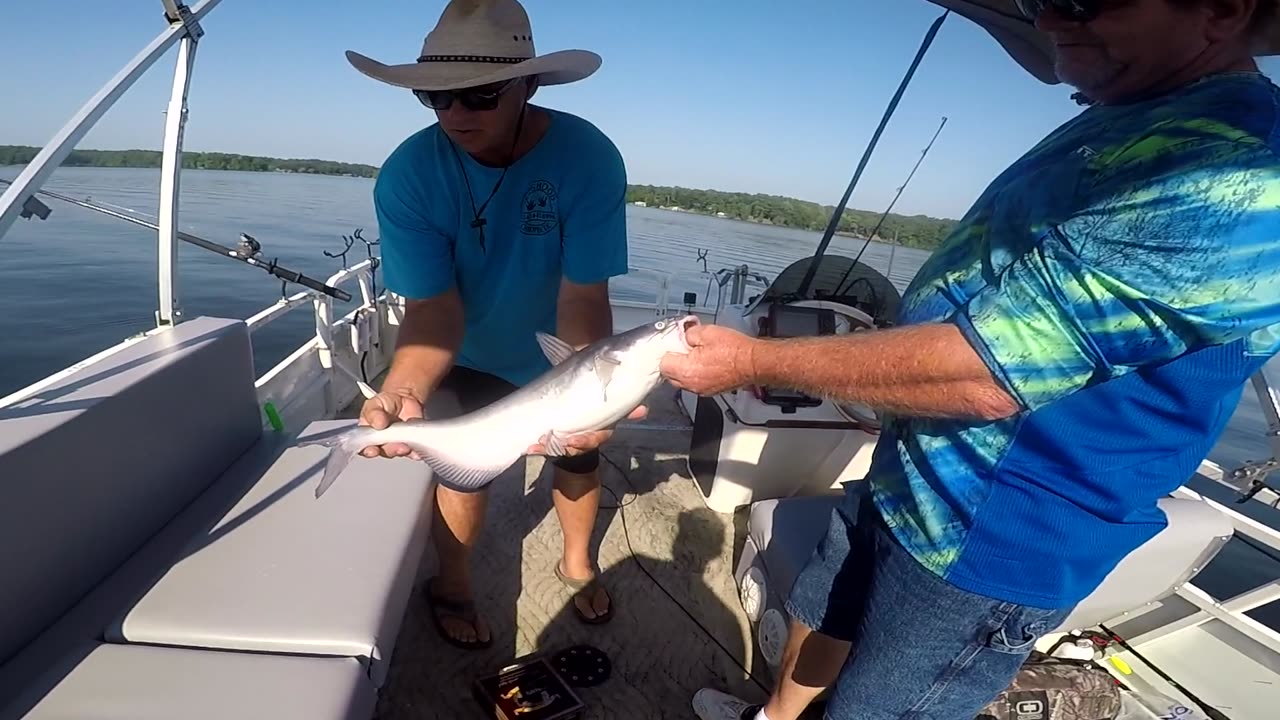 Lake Gaston Catfish 