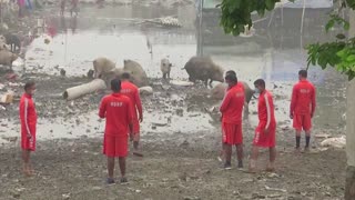 Floods in India's north leave dozens dead