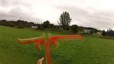 Giant boomerang has impressive flight