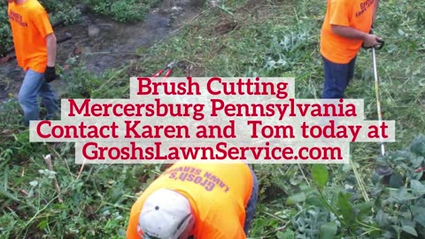 Brush Cutting Mercersburg Pennsylvania Brush Removal Landscape Contractor