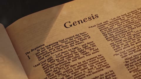 Genesis devotion: the creation summary