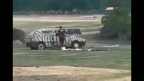 Rhino destroying a car completely