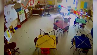 Young Deer Crashes In Through Classroom Window