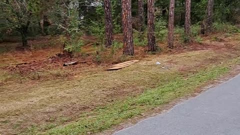 Hurricane Michael Cat 5 October 2018 damage, In God We trust Florida