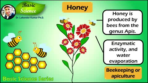 Benefits of Honey