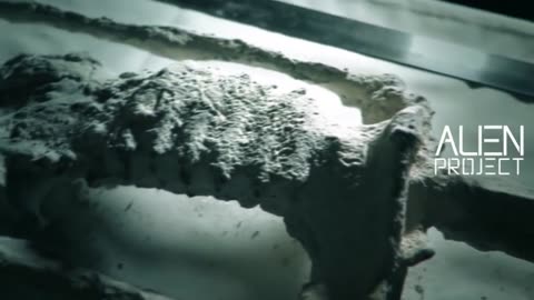 Peru's Alien [2] Radiograph of a 60 cm mummified body
