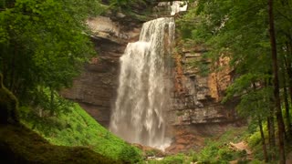 Nature View Of Water Fall in Forest