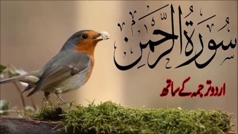 Surah Rahman With Urdu Translation ! Qari Al Sheikh Abdul S...