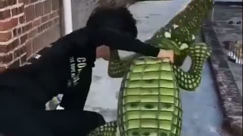 Crocodile prank