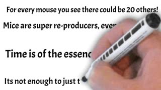 Why mouse Traps dont work😃 Short Summary Video 😃 #shorts