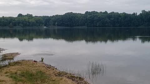 It's morning at the Park.