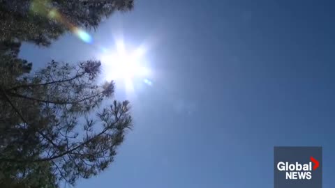 Scorching summer heat waves break global records in 2023, meteorologists say