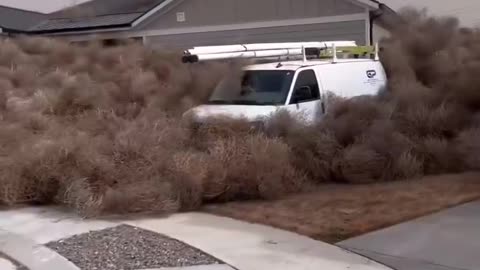 Tumbleweeds take over Utah Town