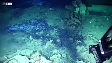 San José galleon: Two new shipwrecks found off Colombian coast - BBC News