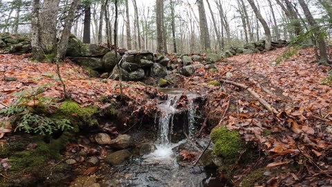 Stonewall Cascade