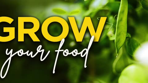 GROW your food ~ ideas to get you started
