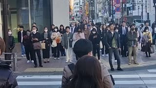 Japanese Pedestrians Obey Traffic Laws